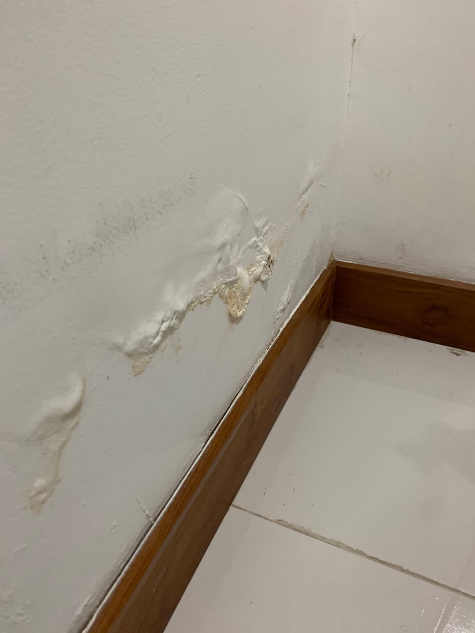 Leakage & Seepage Repairing